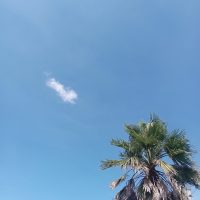 1000002813 (002)