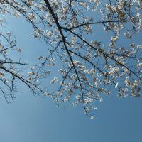 IMG_20250406_105250